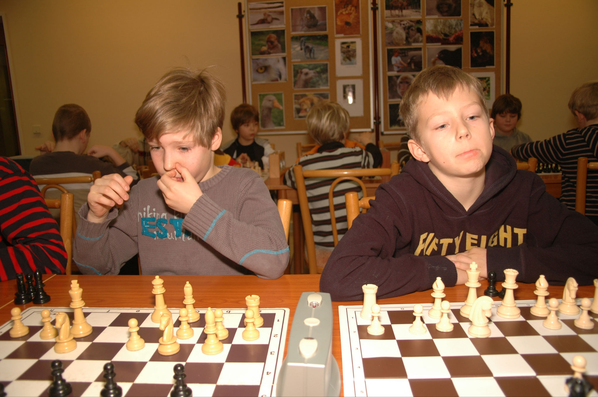 Vorschau